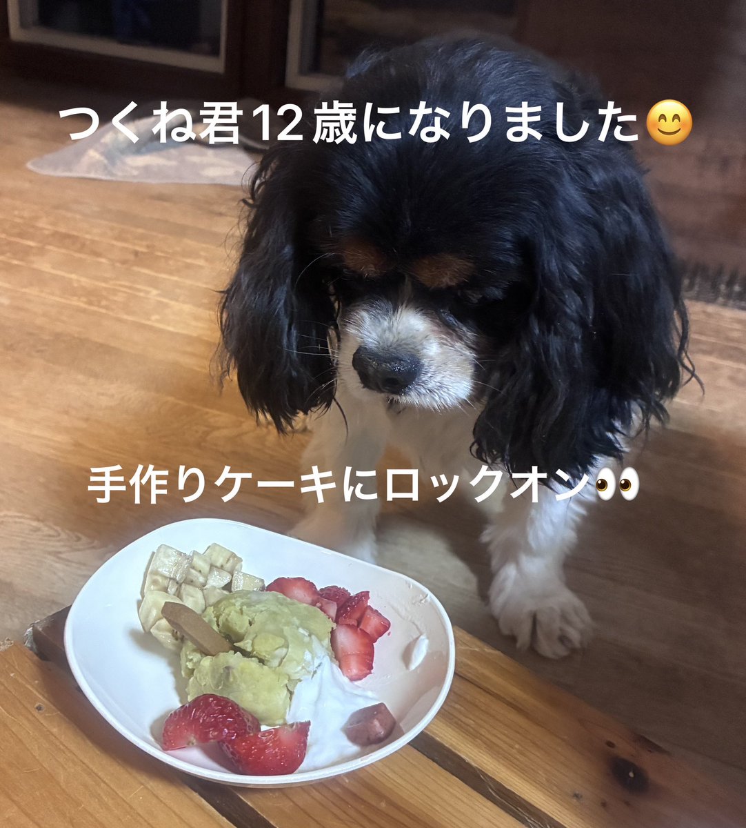 たけ兄SSTR 5/23出走 tweet media