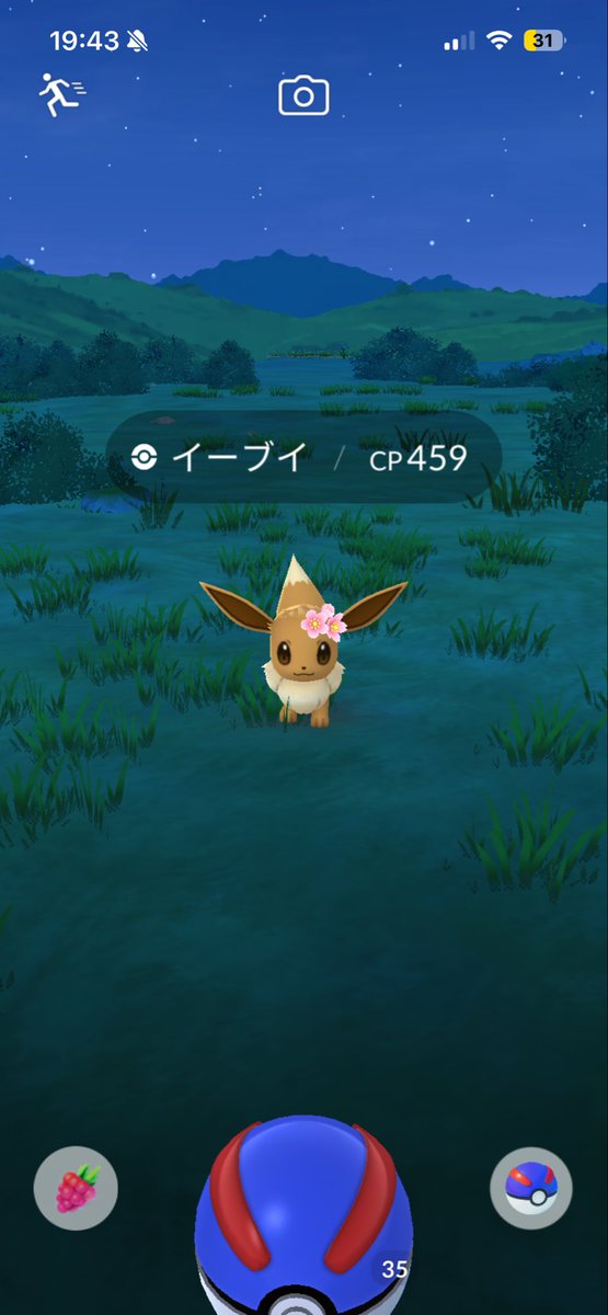 itottusu's tweet photo. あっ！
花飾りイーブイ100%！
モノズのコミュデーは100%は出ず、98FFE2体でした😭 https://t.co/MEGZSObpHu