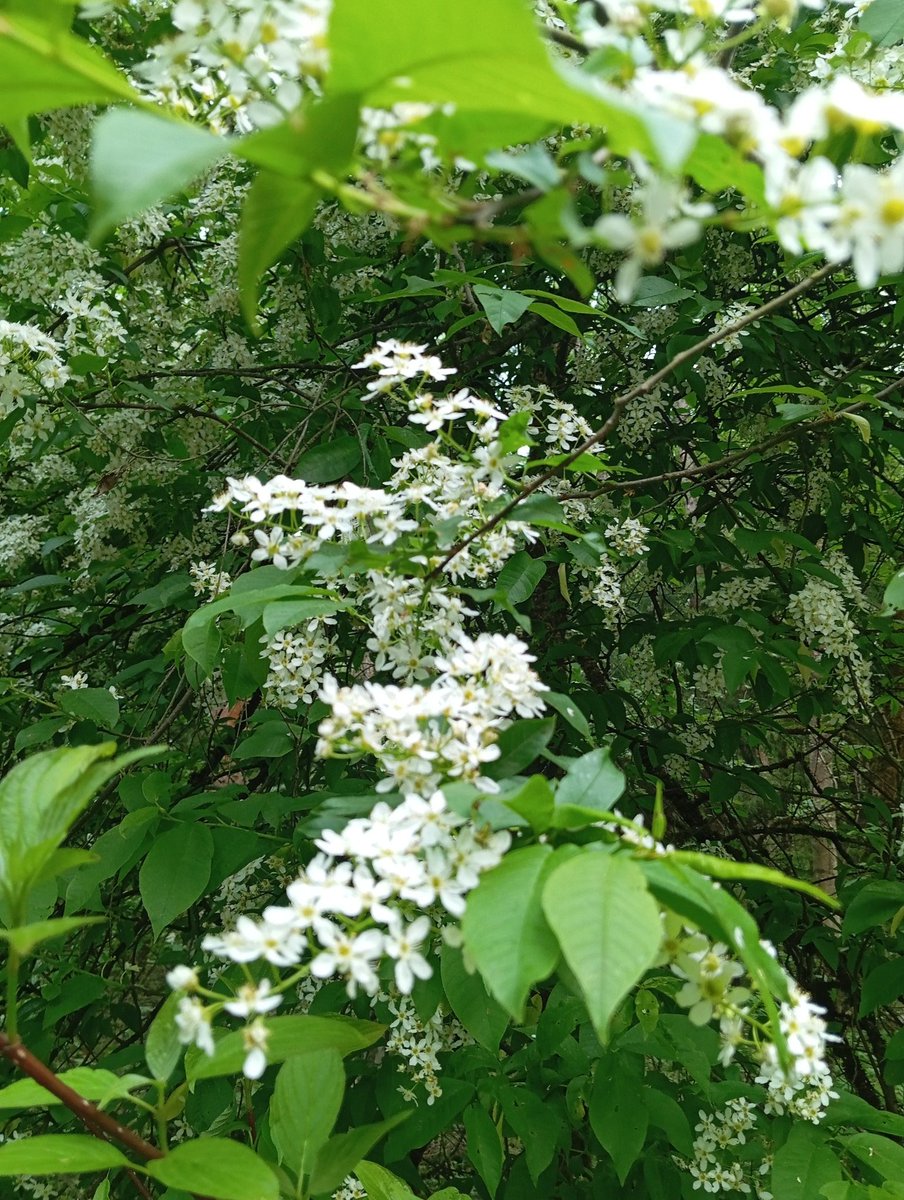 Nature & Culture tweet media