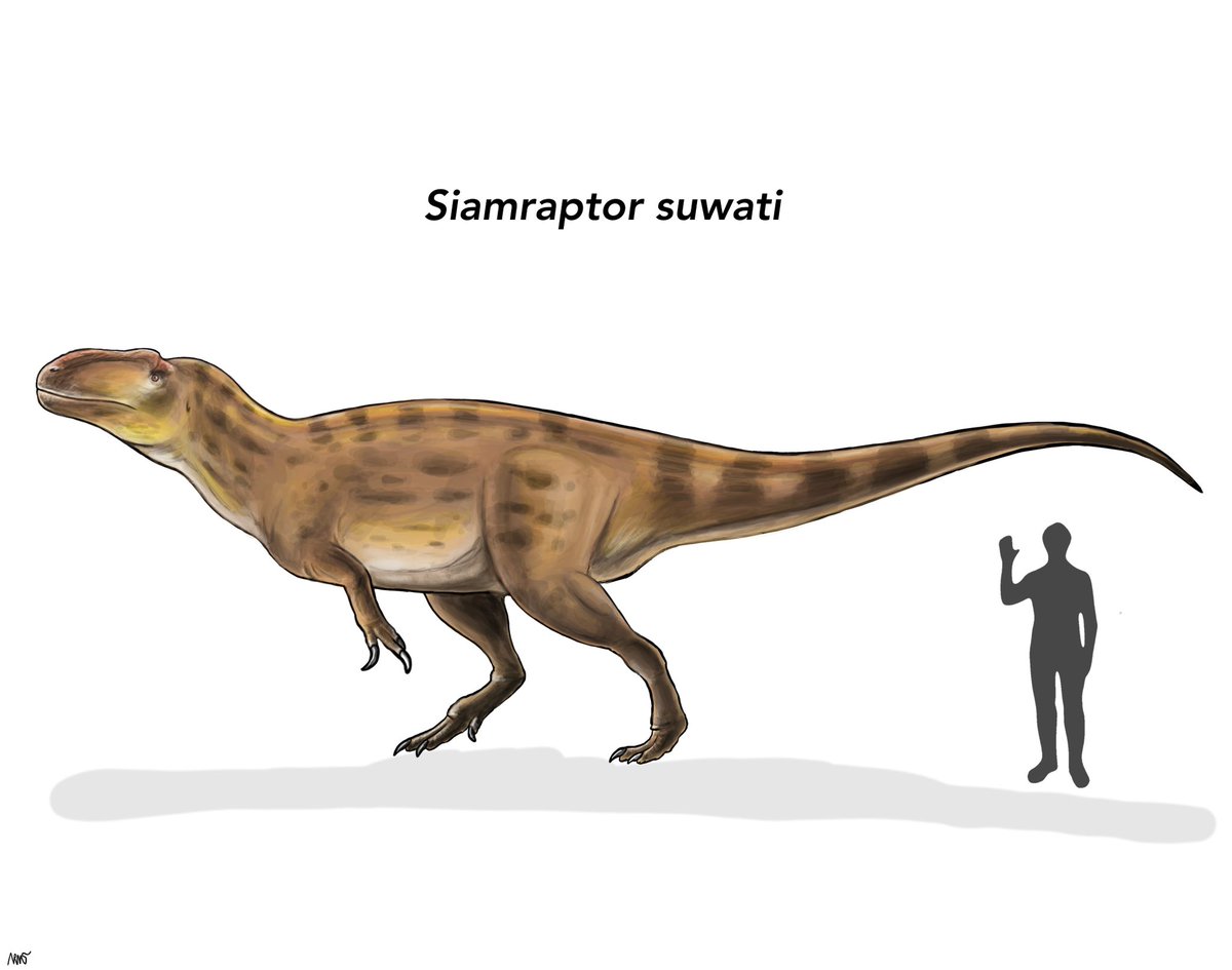 Armsaurus 😊💛🇹🇭 🎨🦖🦕 tweet media