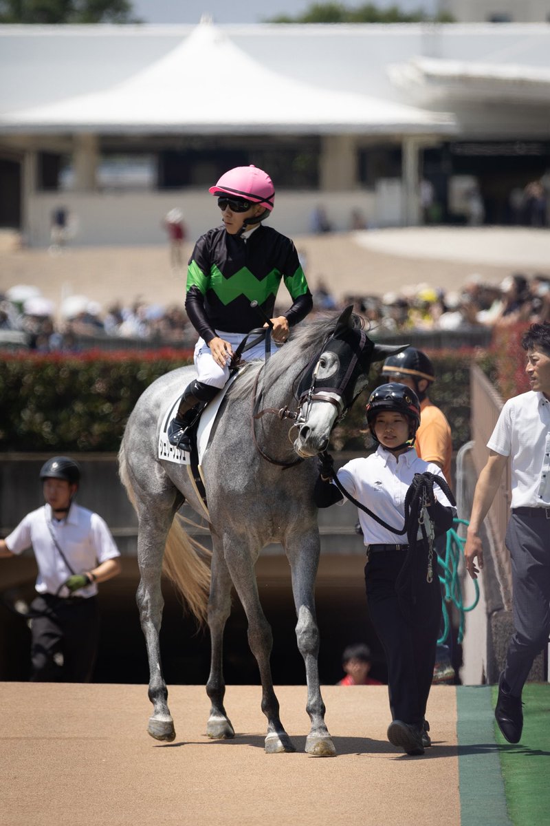 umatonekoship's tweet photo. 2026.5.16
東京競馬場 4R
シェリーシュシュ
ゴールドシップ産駒
大竹正博厩舎
佐々木大輔騎手 https://t.co/8ItEJhs5i0