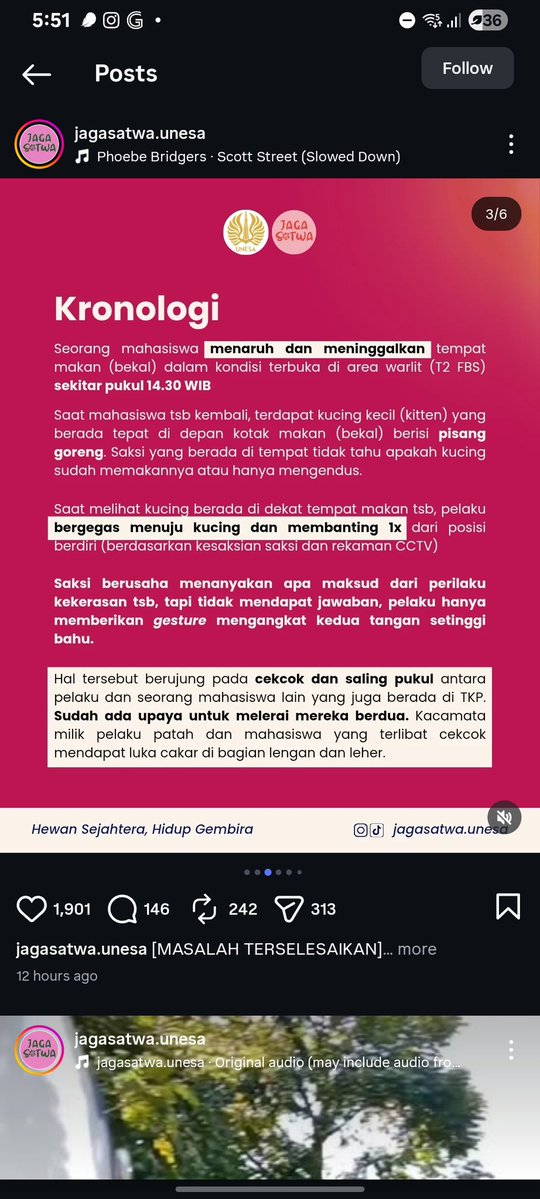 peeya! tweet media