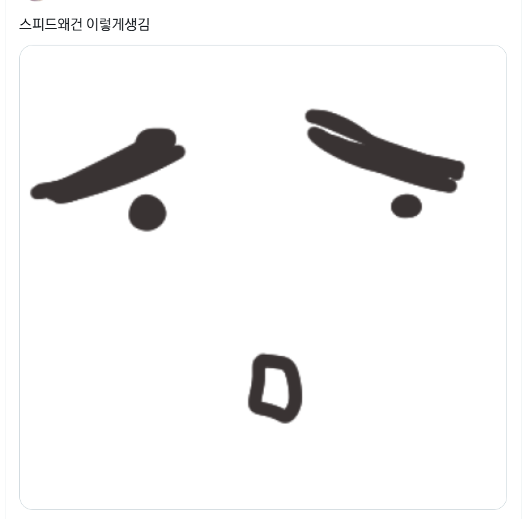 돼지 tweet media