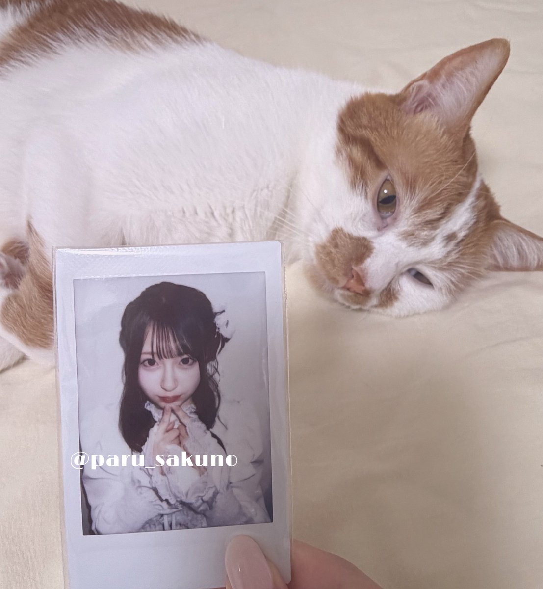 桜乃🌸 (@parusakuno_) / Posts / X