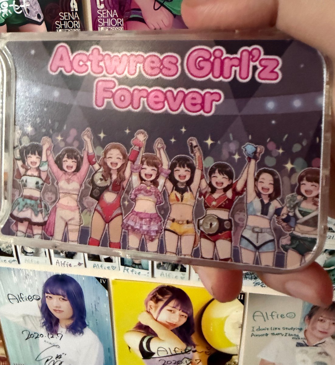 Alfie (アルフィ) #蓮燦 #SaisNest #あーちゃんまる