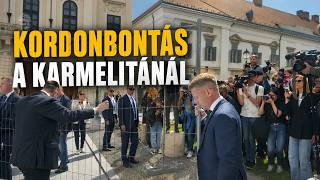 Liliom tweet media