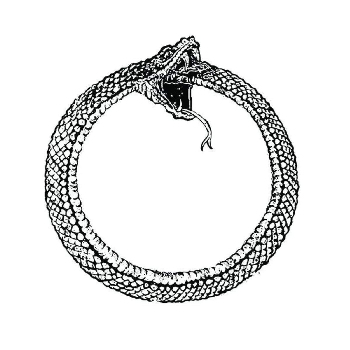 Smart66K's tweet photo. $Ouroboros https://t.co/UQBzpP4Ytt