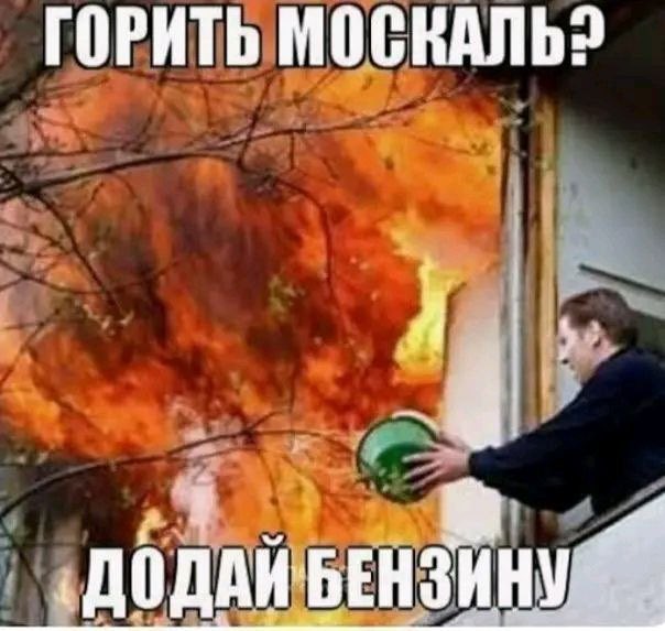 Nataliya Nesenenko tweet media