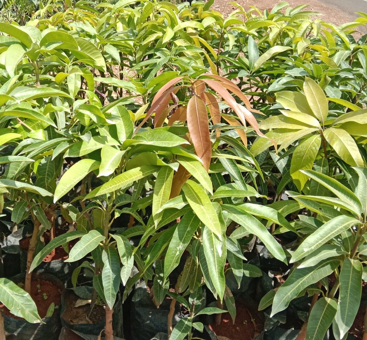 Mynzagric254 tweet media