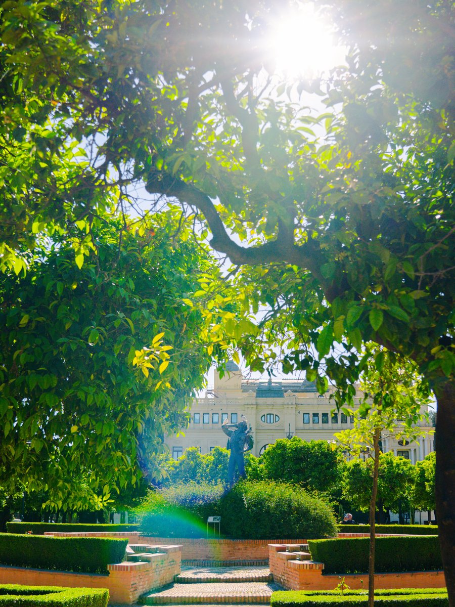 Málaga Turismo tweet media