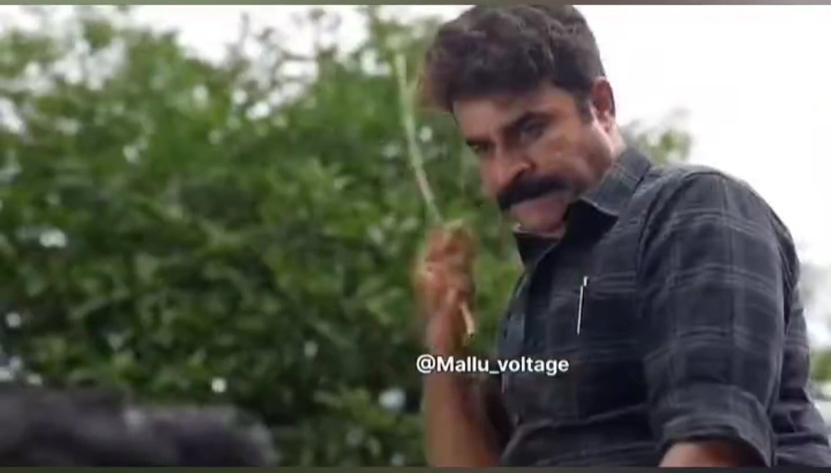Paari Saalan tweet media