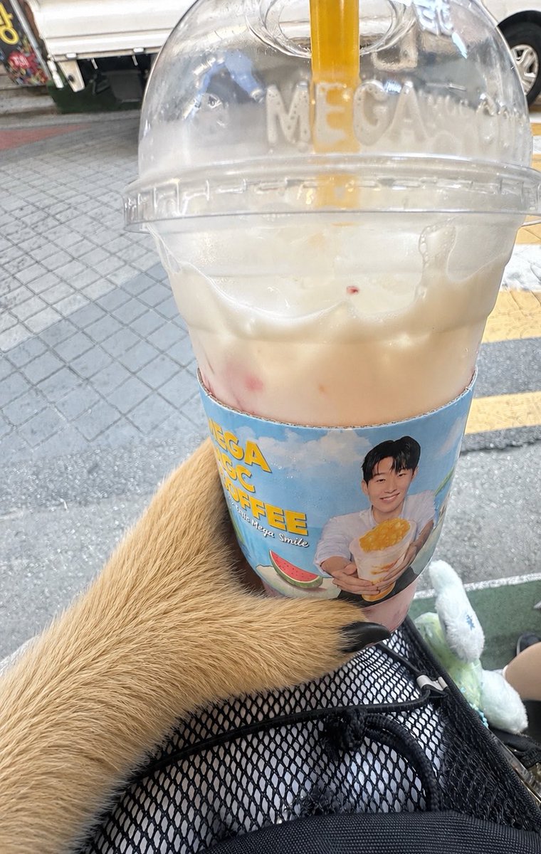 페로 tweet media