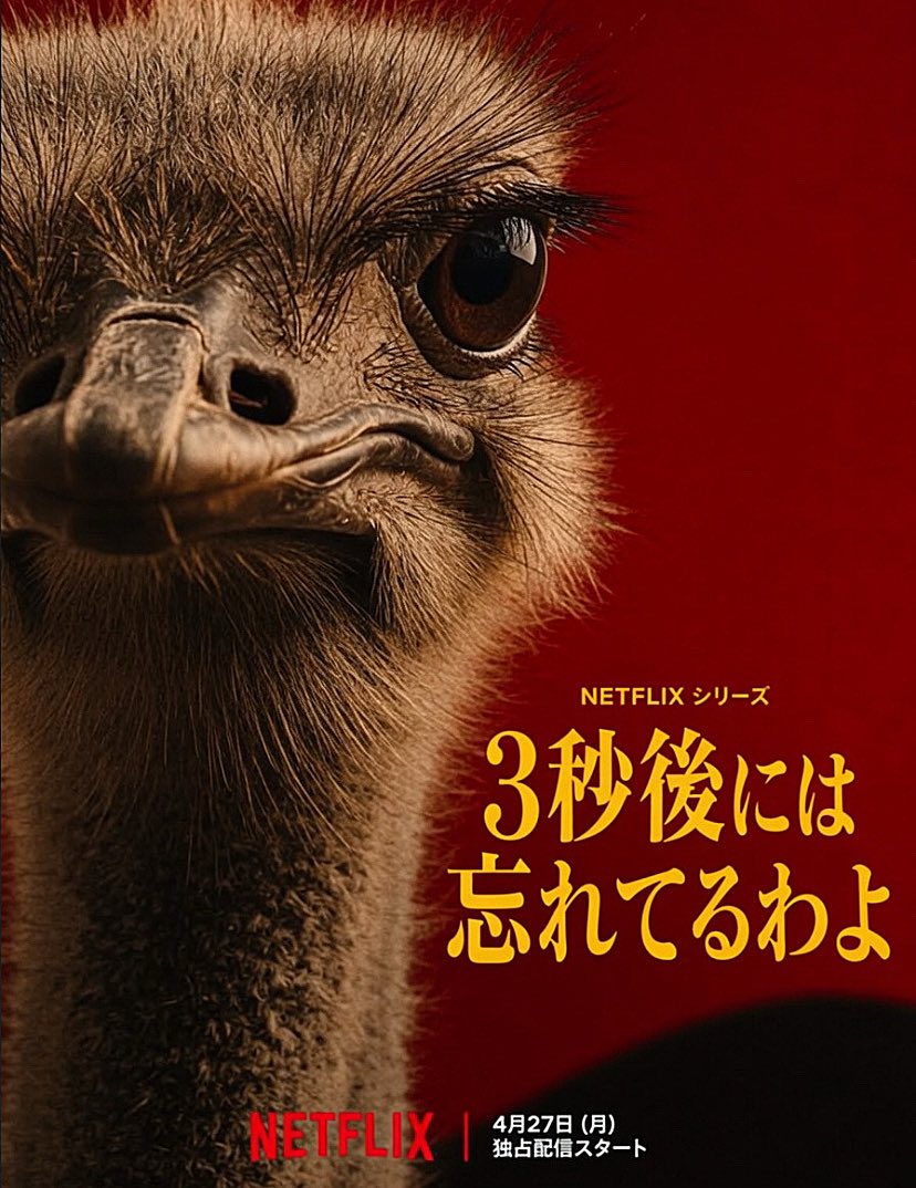 ダチョウ tweet media