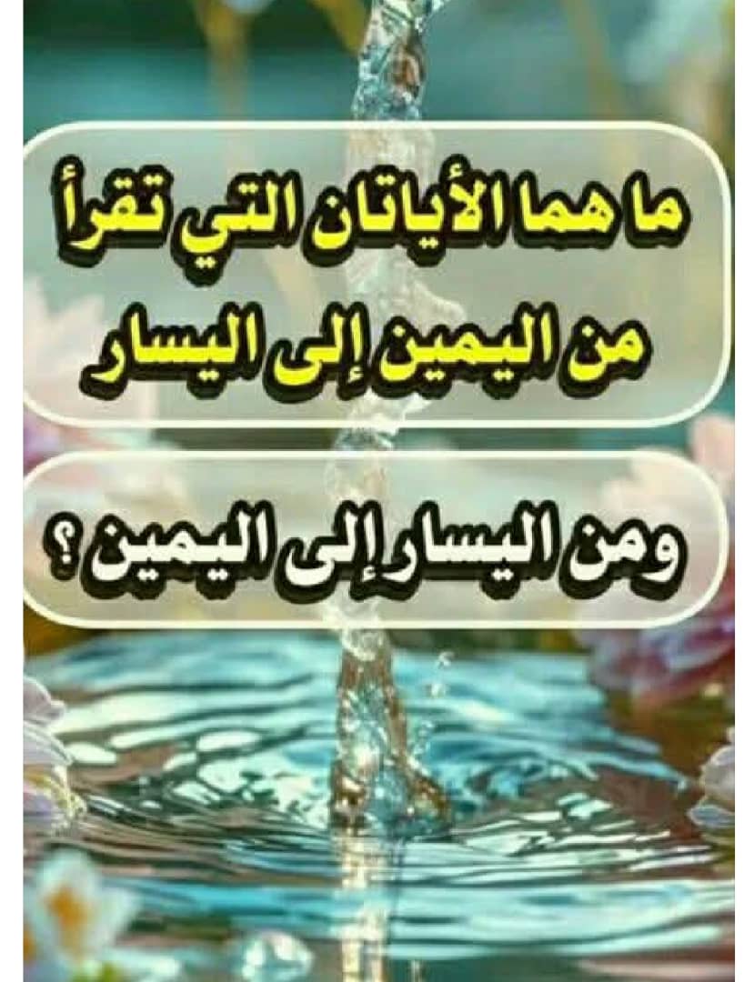 شـــخــصــيتي tweet media