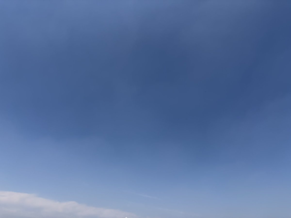 わかめ🐿️🩵☁️🫐🤍 tweet media