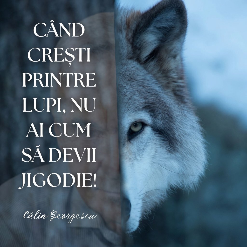 Niko Simon 🇷🇴 tweet media