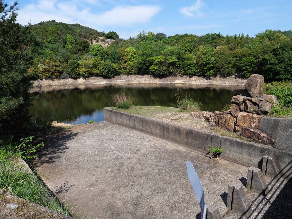 ひごいです。 tweet media