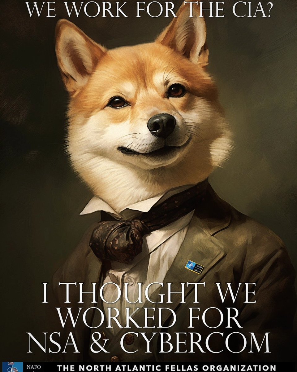 B O N K🦩🦝🏴🚩🇺🇲🇺🇦🇷🇴🇵🇱 tweet media