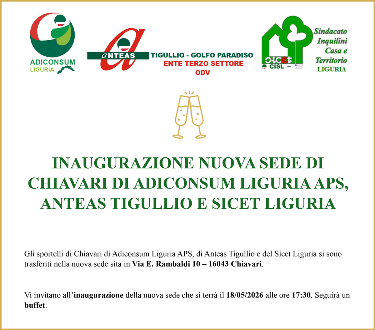 Andrea tweet media