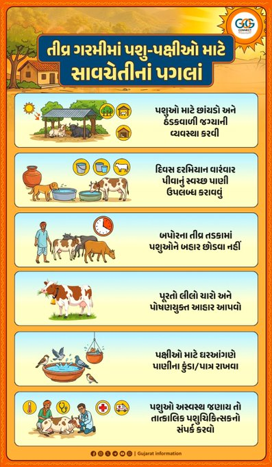 airnews_abad's tweet photo. ▶️બદલાતા હવામાન અને ગરમીના પારા વચ્ચે પશુપાલકો અને નાગરિકોને પશુઓ માટે રાહતરૂપ પગલાં લેવા અપીલ

✅ પશુઓને પૂરતો લીલો ચારો અને પૌષ્ટિક આહાર આપો
✅બપોરના સમયે પશુઓને ખુલ્લામાં બાંધવાનું ટાળો
✅ બીમાર પશુઓ માટે તુરંત પશુચિકિત્સકનો સંપર્ક કરો

#AnimalWelfare #HelpAnimals #Heatwave https://t.co/HnaDanxDtv