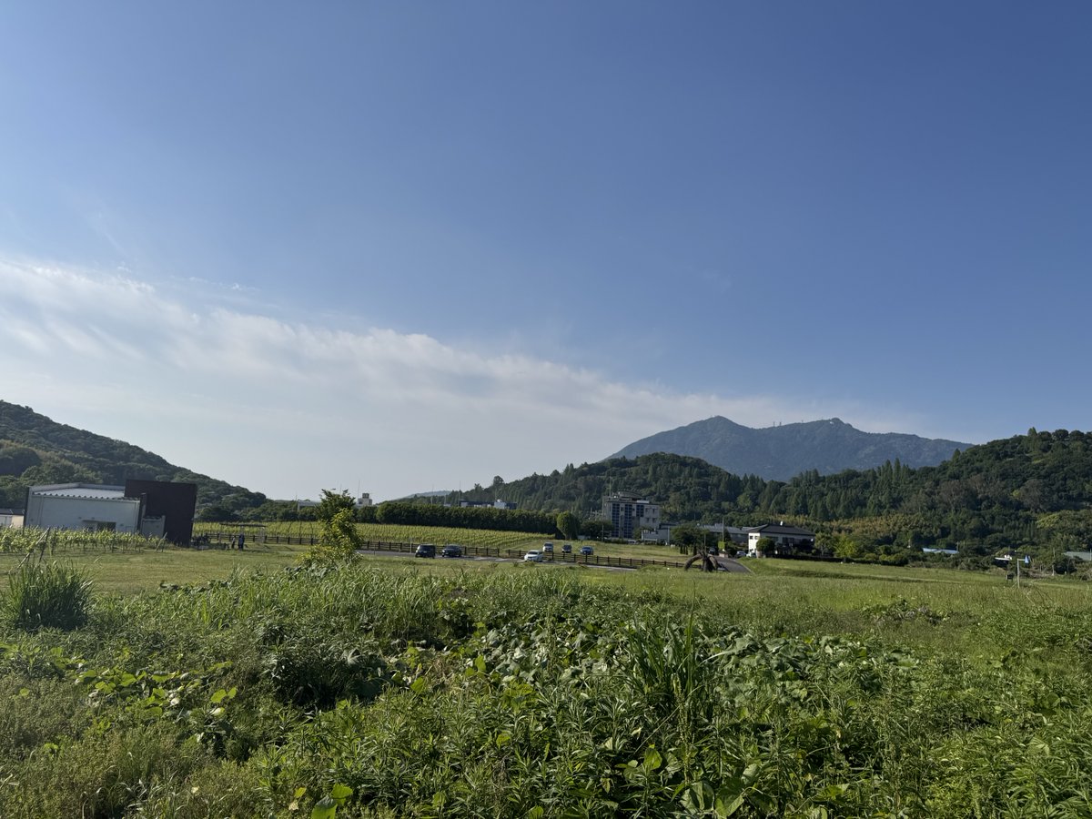 omiyas's tweet photo. 今日の筑波山 https://t.co/DsIn8sj41d
