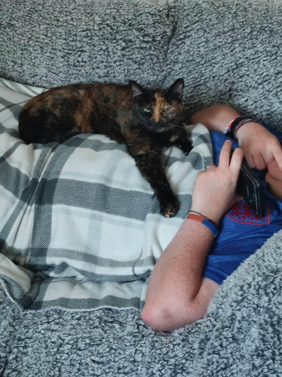 MiloBawden's tweet photo. Sookie, you would of been 16 today. Love you and miss you so much ❤️ https://t.co/VFARPOsgvp