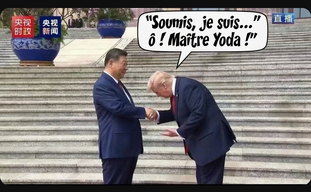 chnoubriti tweet media