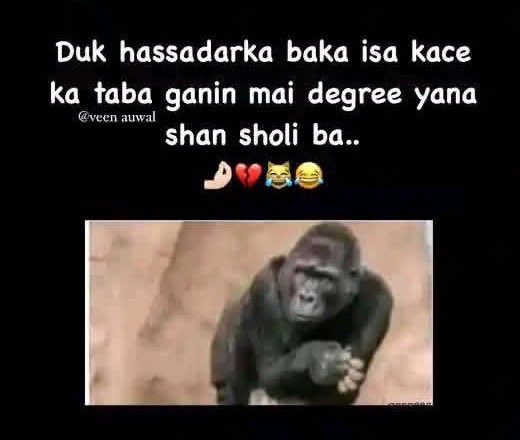 Islamic_engineer👳👳👳 tweet media