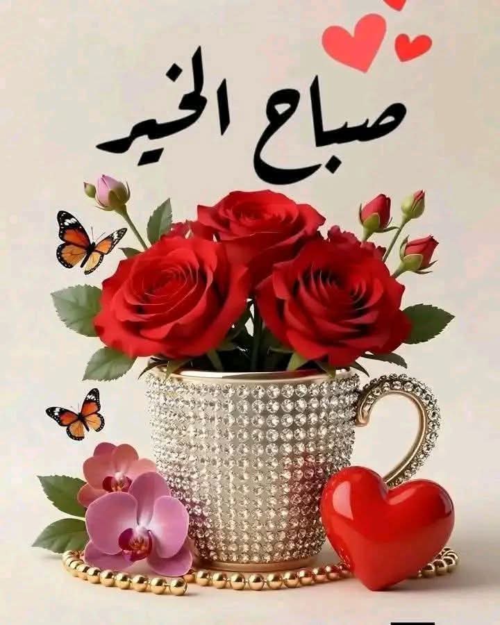 تعبان يازمان. 🌹 ♥️🌹 المهاجر🌹🌹♥️🌹🌹 tweet media