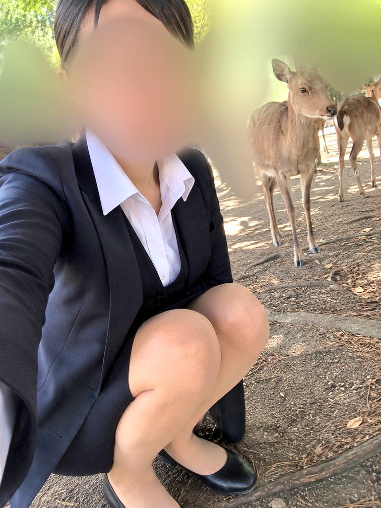 バスガイドあんりの穴場旅行情報ー映えより風情 tweet media