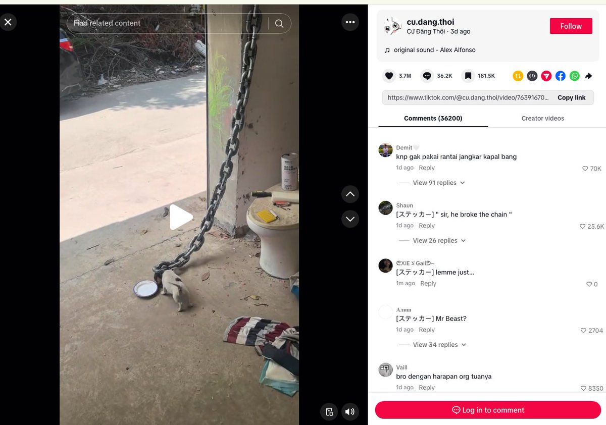chinapumprocket's tweet photo. $DOG

This dog is going viral on TikTok — nearly 50M views in just 3 days.

The market needs a fresh new animal to lead the next run.

CA: GzMczpLmWHT46LQMTRewaEiMFqcgDxXkbnjk9oV7pump

https://t.co/Gp1AxpWbGU https://t.co/DddkvQCA9F