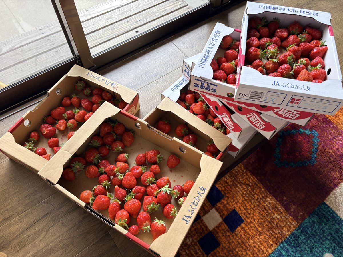 JAT1138's tweet photo. 今日は年に一度の「あまおうの日」🍓

妻がバイトしてるいちご農家さんが、毎年好き放題にちぎって良いと招待してくれる最高の日🙌

一次産業に少しでも関わってると、こんな嬉しいことがあるんですよね〜

2〜3箱は冷やしてそのまま。
2箱は細かく切って冷凍。
残ったのはジャムにしちゃいます！ https://t.co/Il0tYTgTDq