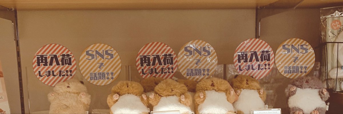 ゆかり tweet media