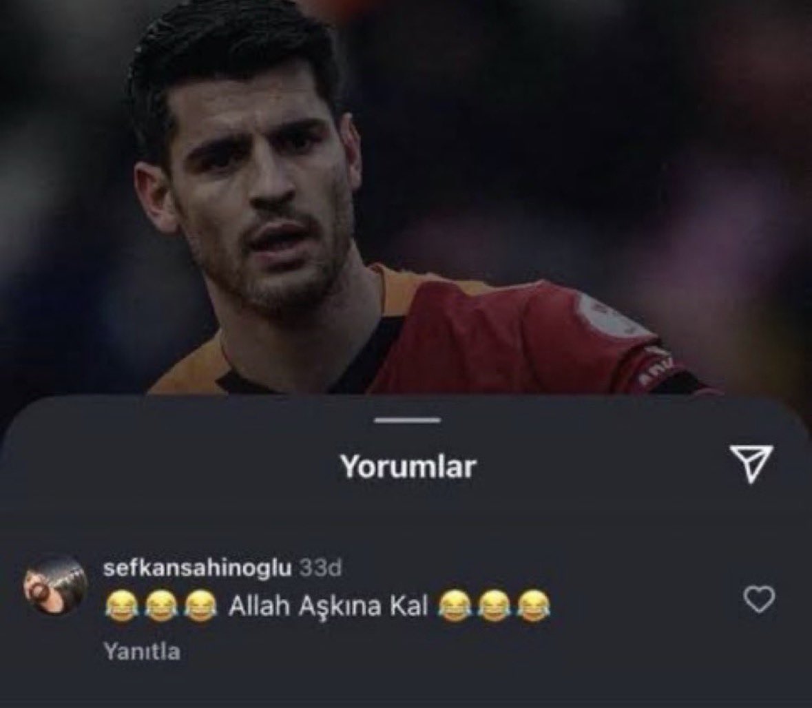 umutpasha tweet media