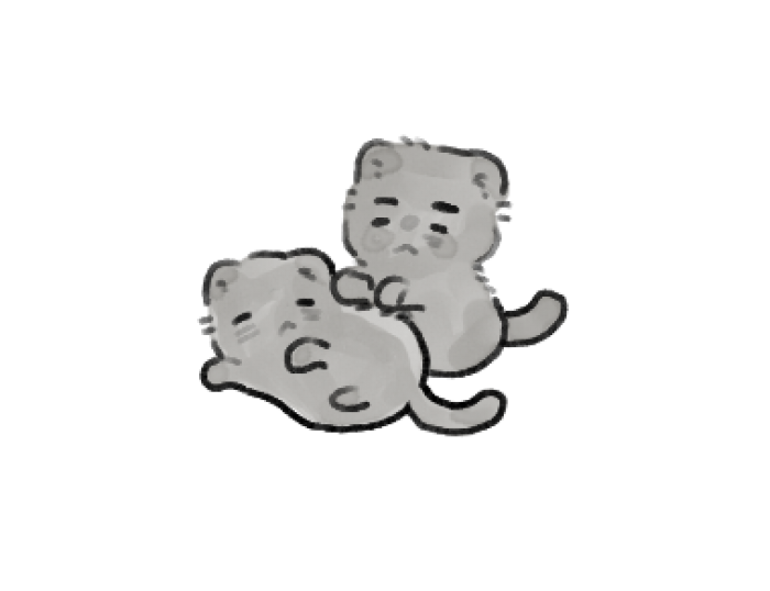 우다 tweet media