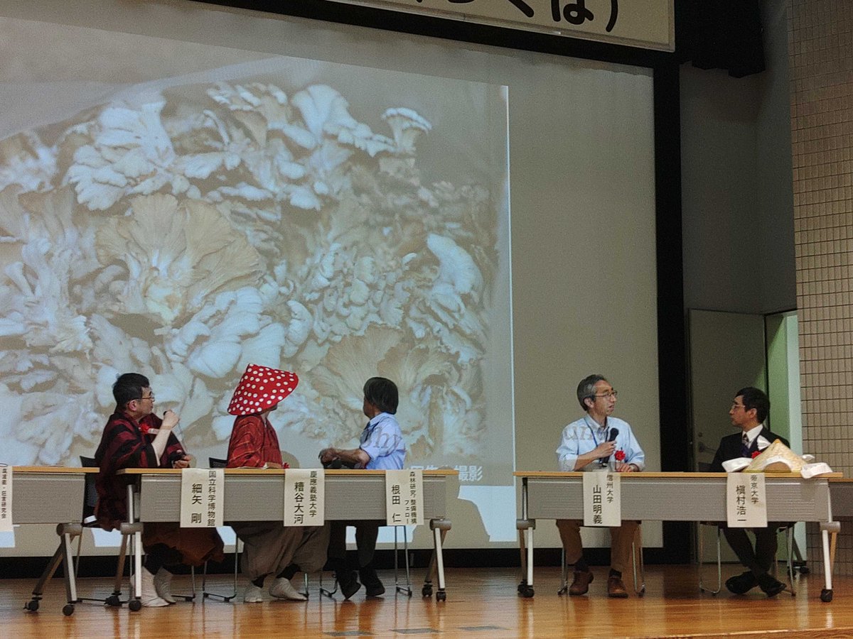 日本菌学会(菌類観察会@横浜 9月26日-27日) tweet media
