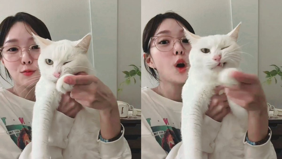 รยูหม่าม้า | Ryu’s mama🐰🐶🐱 tweet media