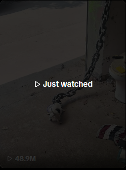 pixtract's tweet photo. 50m views, we are so early to the Onchain $DOG https://t.co/St240MbvVM