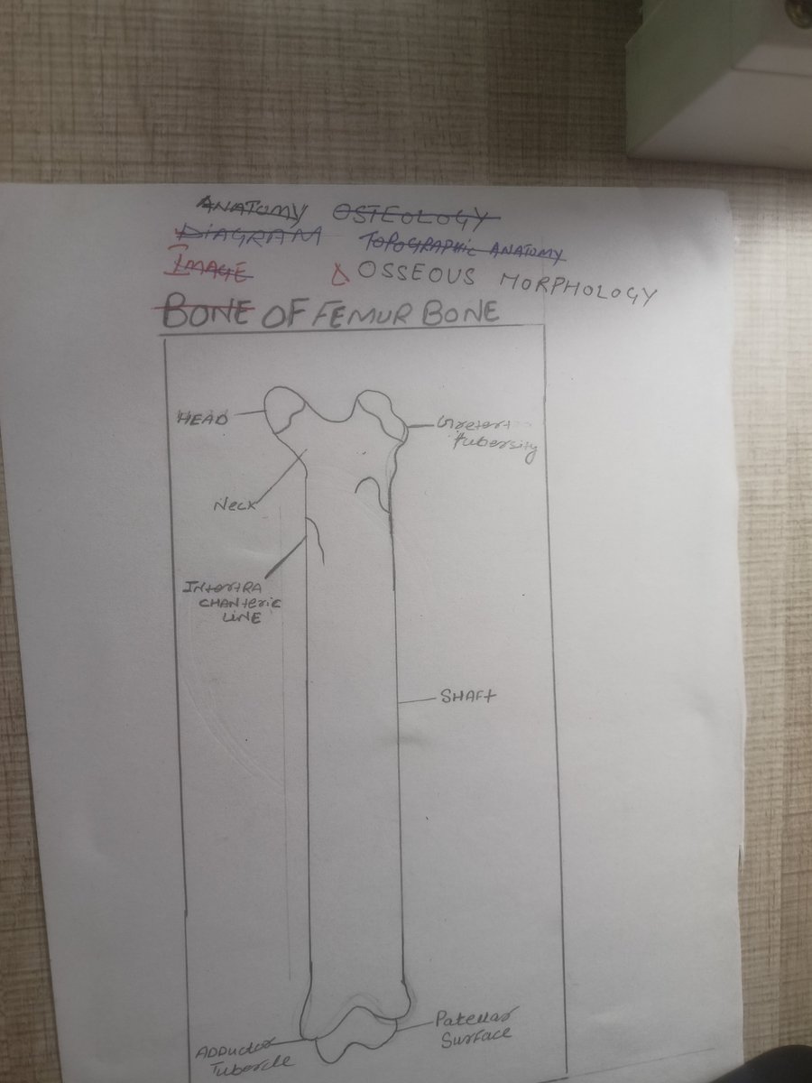 Afsarbhat1's tweet photo. Koi ye war rukwa do 
Me image ❌ diagram ✅ 

Someone diagram ❌ anatomy ✅ 
Me anatomy ❌ osteology ✅ 

Someone topographic anatomy ✅ 
Me osseous morphology ✅ 
Any MBBS here https://t.co/b2cSMyG7MJ