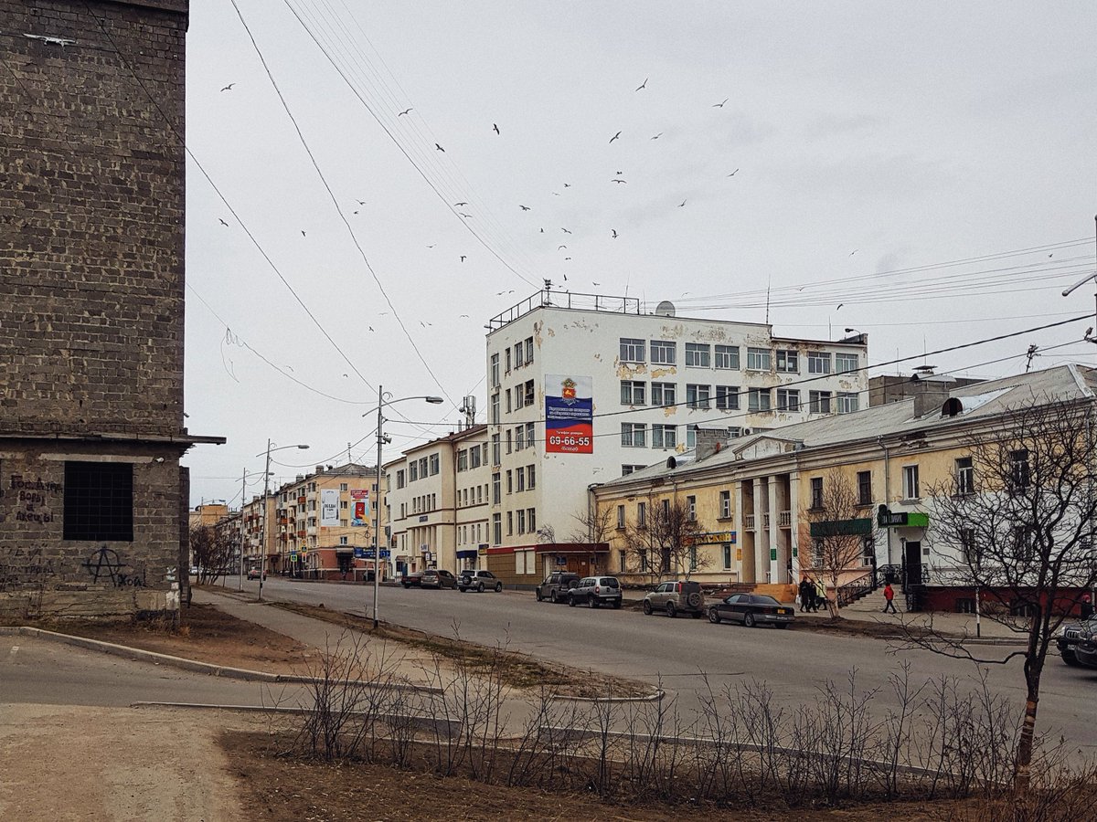 кусь tweet media