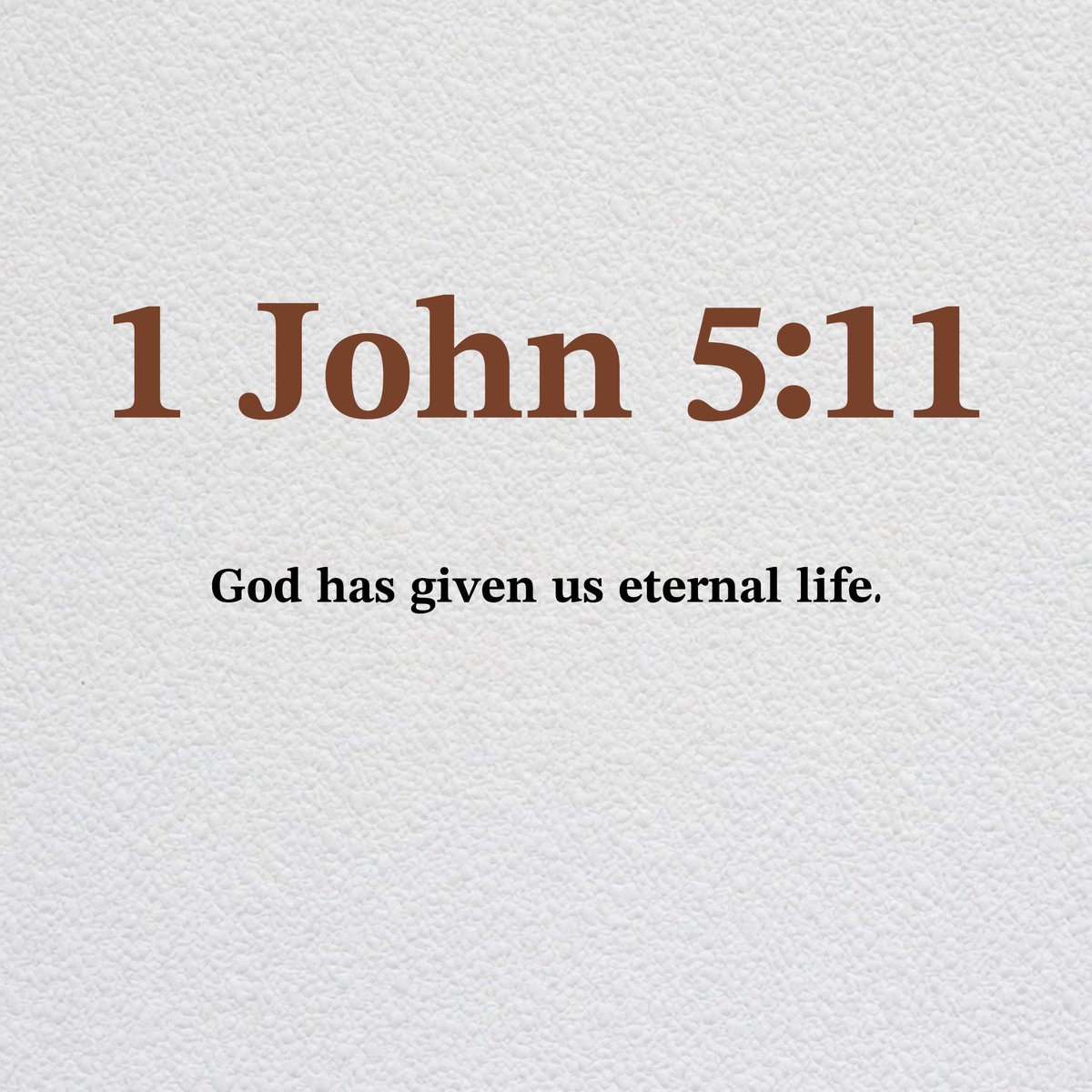 Holy Bible tweet media