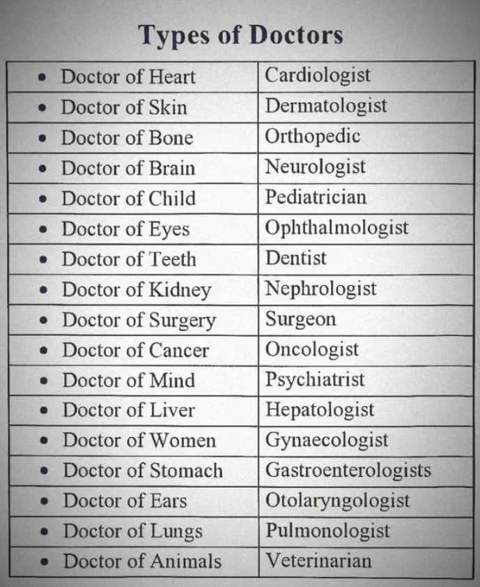 MrPotatoHeadUSA's tweet photo. Types of Doctors 🤔 https://t.co/qhzXv6DpvX