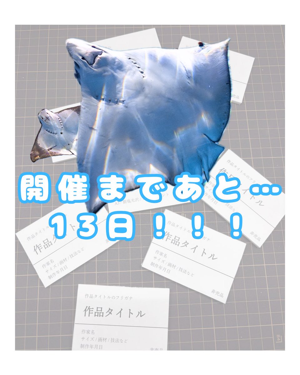 しぇり tweet media