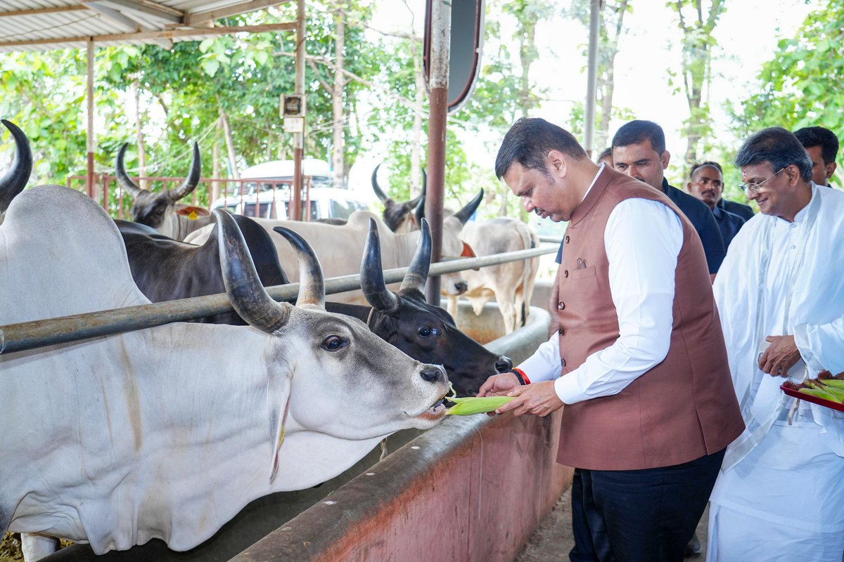 Devendra Fadnavis tweet media