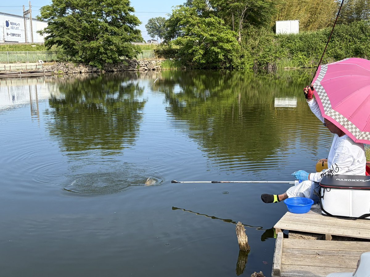 たけぽん@週末へら釣り🎣 tweet media