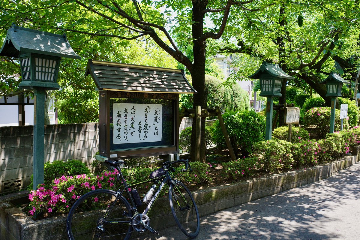 una_coool's tweet photo. 寺は昔からアナログSNSをやってたんだな https://t.co/xtPGR06BGB