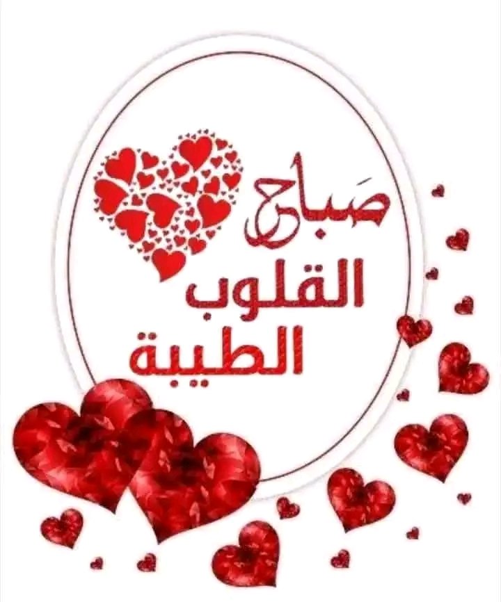 صقر الجنوب... tweet media