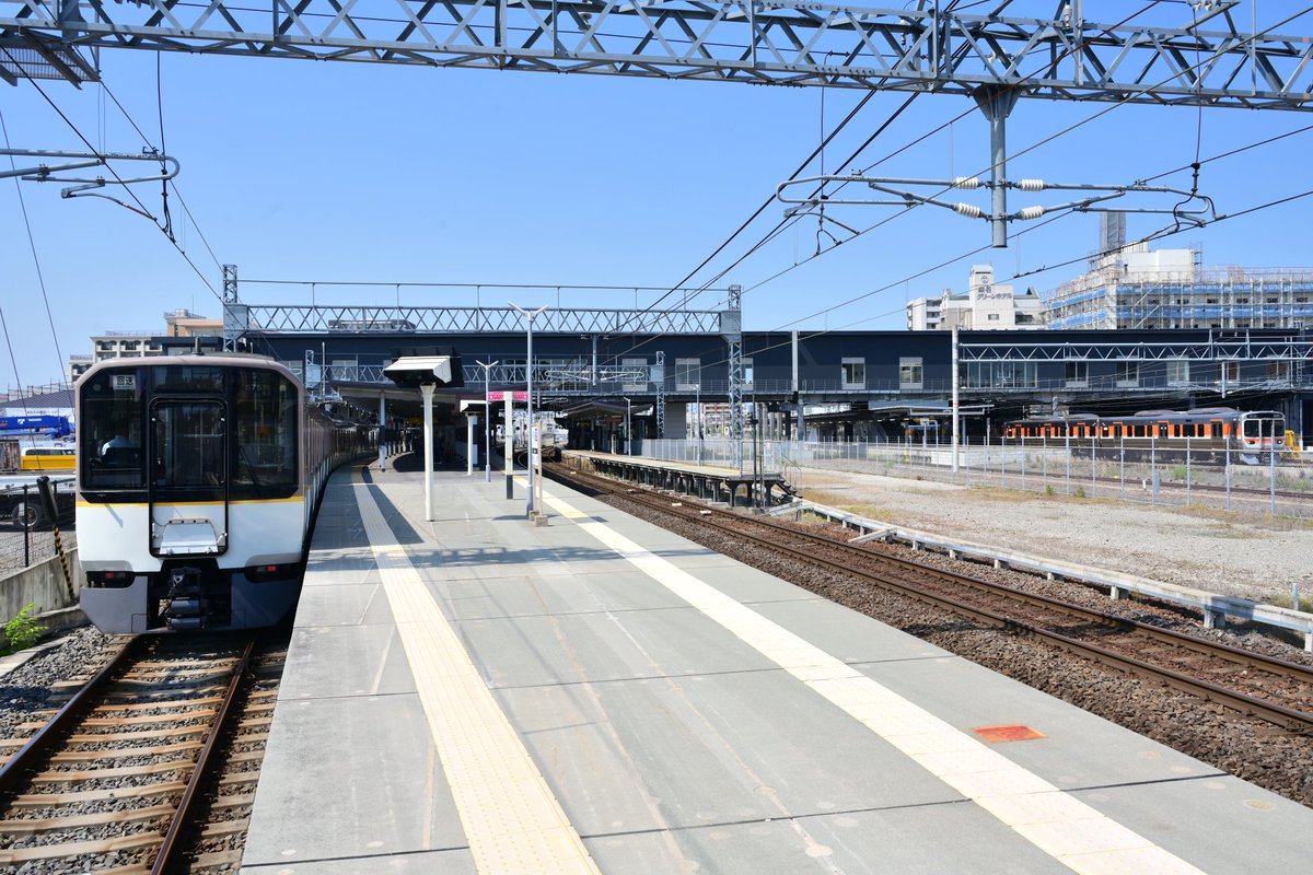 ベータ tweet media