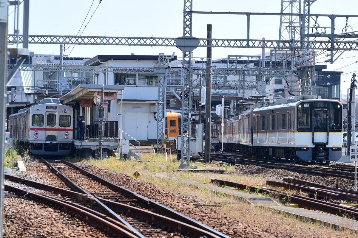 ベータ tweet media