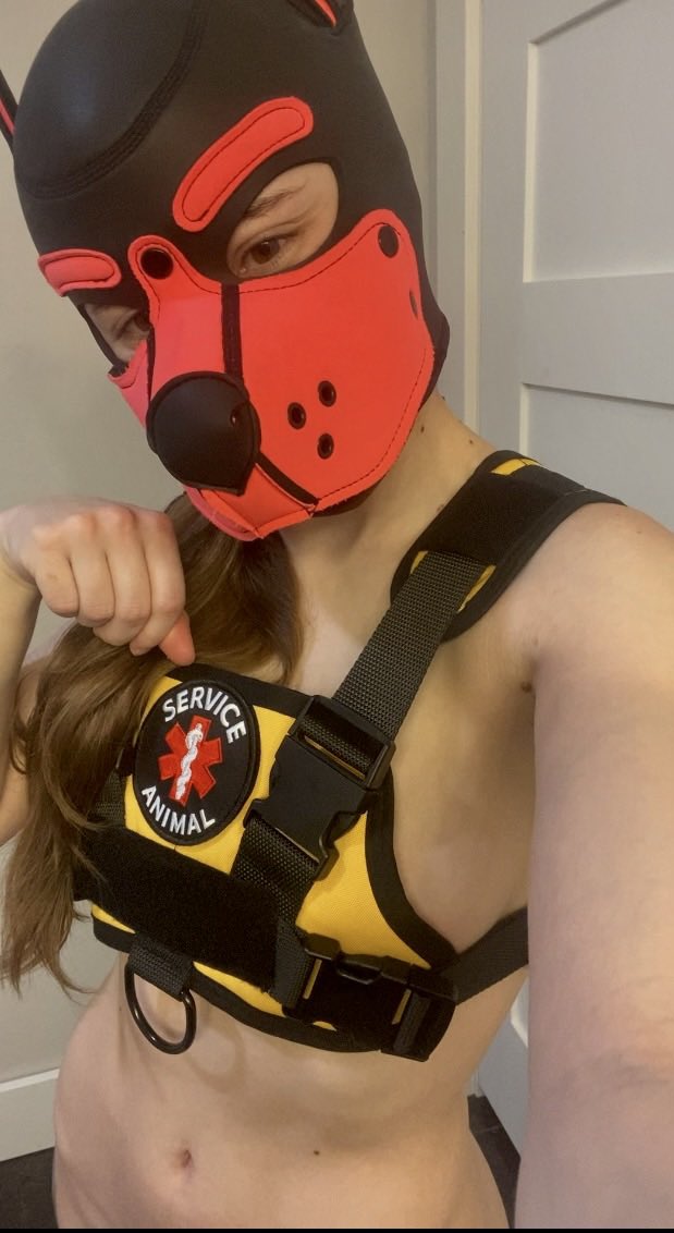 IttyBittyKitty 🔜 FWA! tweet media